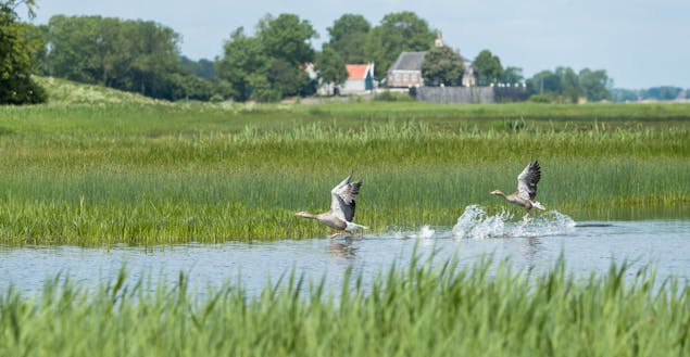 Schokland, gezicht op het dorp