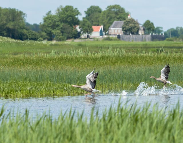 Schokland, gezicht op het dorp
