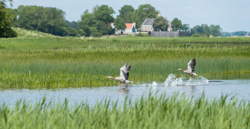 Schokland, gezicht op het dorp
