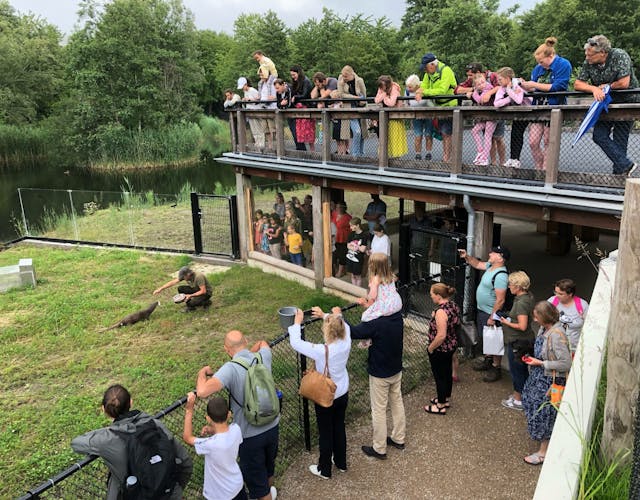 voedertijd Europese otters Natuurpark Lelystad
