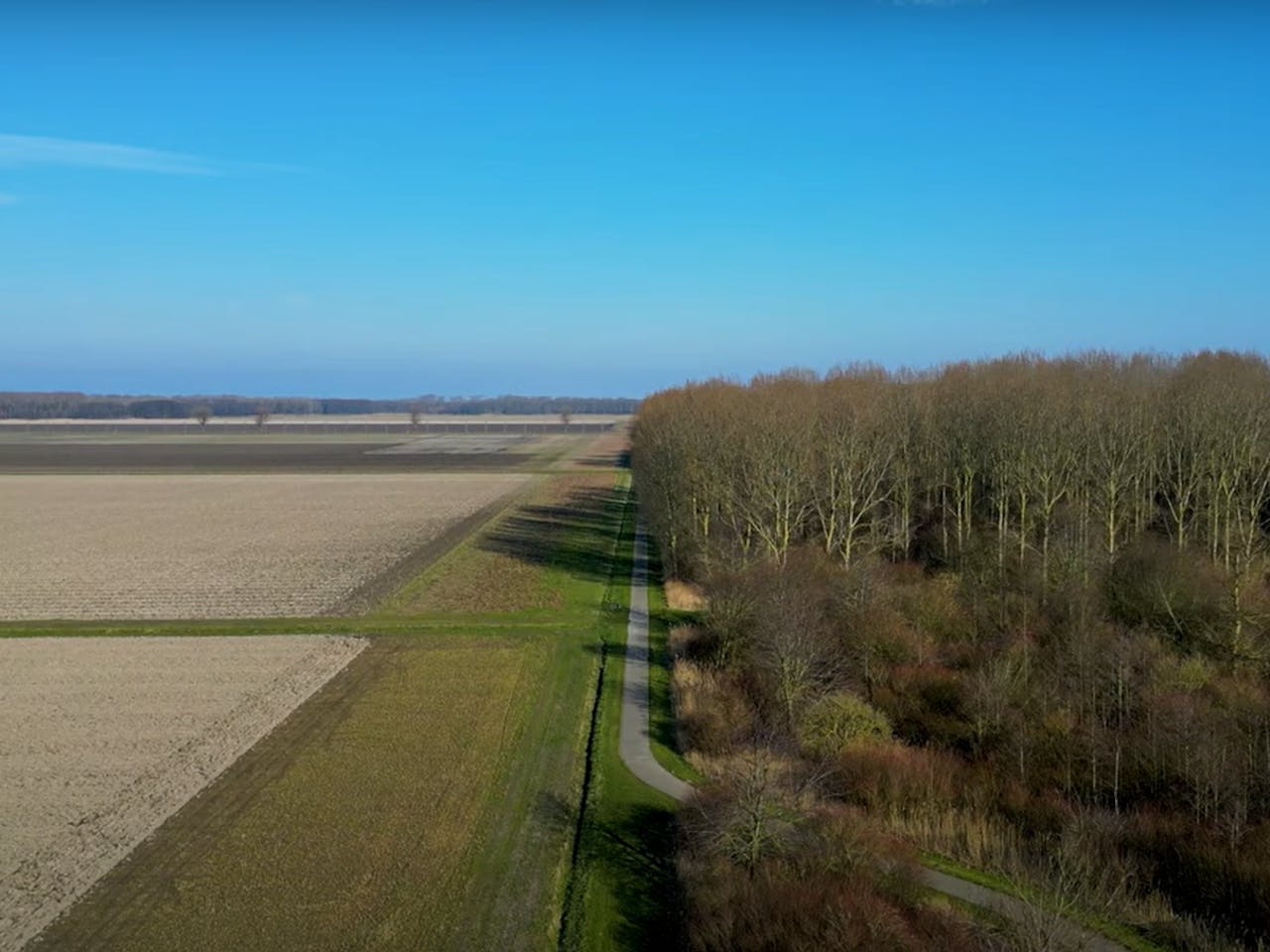 dronebeeld grens bos en akkerland